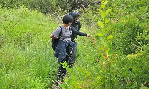 Local biodiversity expert