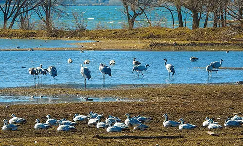 Lashi highland wetland