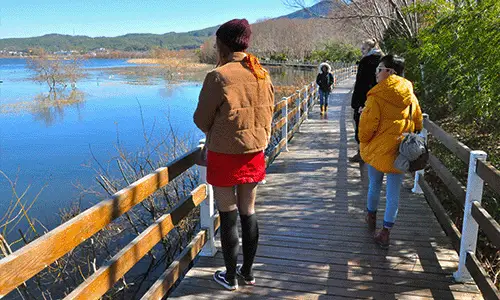 Boardwalk trail around Lashi Wetland