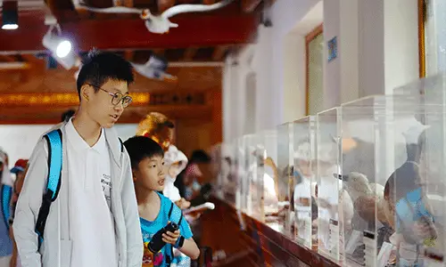 Lashi Wetland bird museum exhibit
