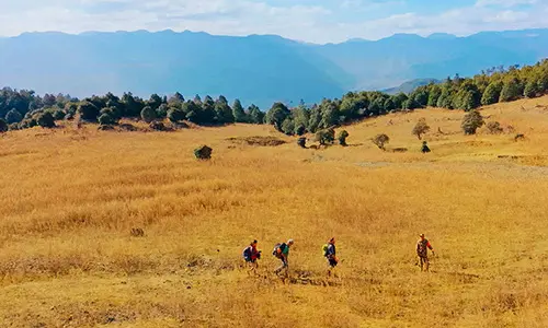 Four hikers walk across a wide golden meadow towards distant mountains